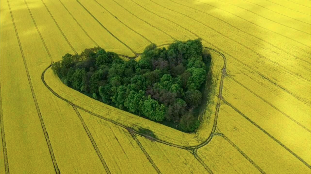 Fot. powiat promocja